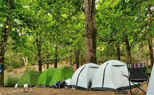 Camping